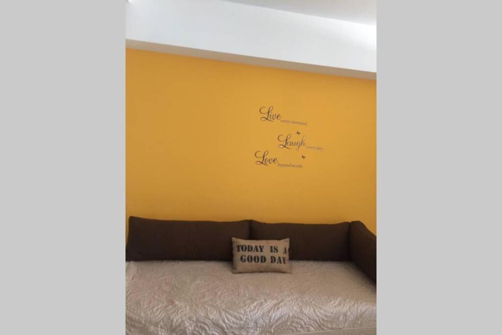 Cozy, Lots Of Light, Great Location Appartement